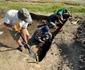 Cercetare arheologică în Punctul „Islaz”, comuna Movilița (© Mădălina Stănescu / Muzeului Vrancei)