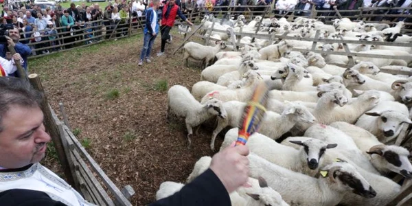 Dăncilă la Sâmbra Oilor FOTO gov.ro
