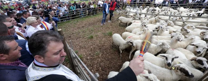 Viorica Dăncilă la Sâmbra Oilor FOTO gov.ro