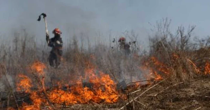 Iaşi: Pompierii au stins un incendiu de proporţii de la graniţa judeţului