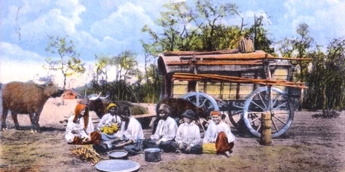 Tigani langa o caruta