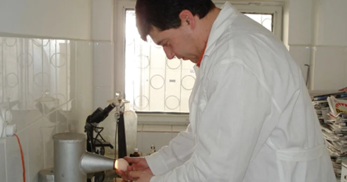 Inspectorii sanitari verifică dacă ouăle sunt proaspete la aparatul numit ovoscop