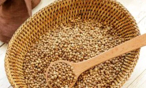 1 coriandru jpg jpeg