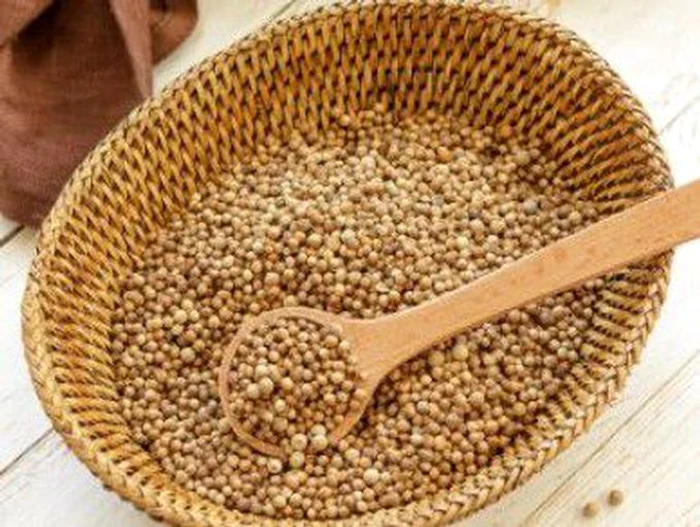 1 coriandru jpg jpeg