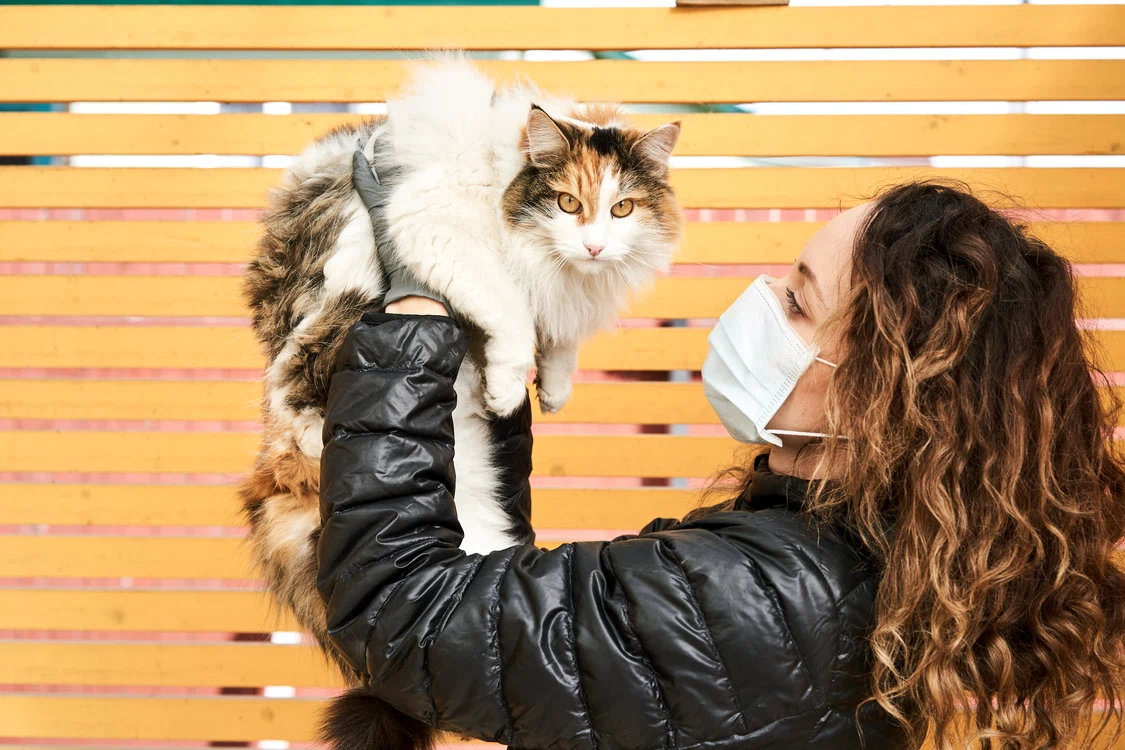 
    Specialiștii recomandă să nu îmbrățișăm animelele de companie dacă prezentăm simptomele infectării cu coronavirusfoto: Shutterstock  
