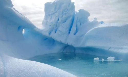NASA a descoperit viaţă extraterestră sub gheaţa Antarcticii jpeg