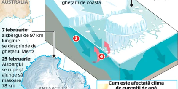 Sursa Graphic News