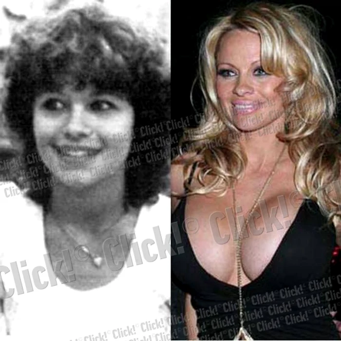 Pamela Anderson