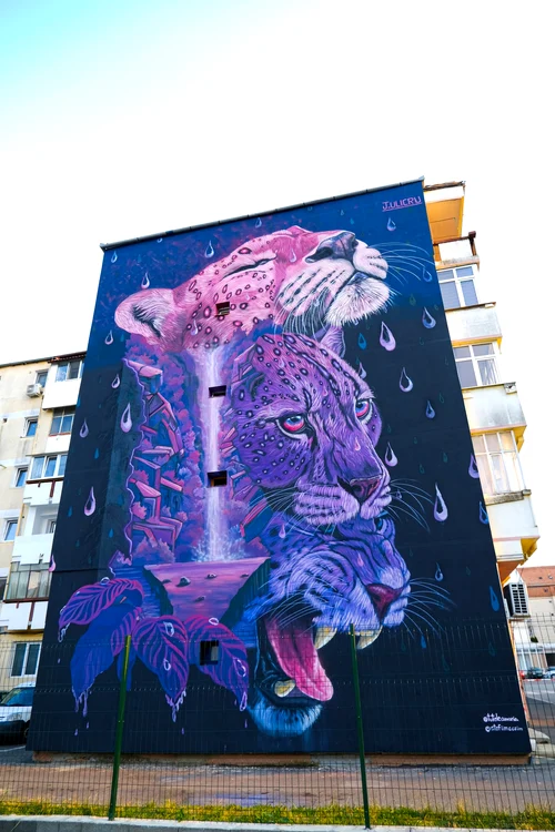 Sursa foto: Sibiu International Street ART Festival/ Facebook