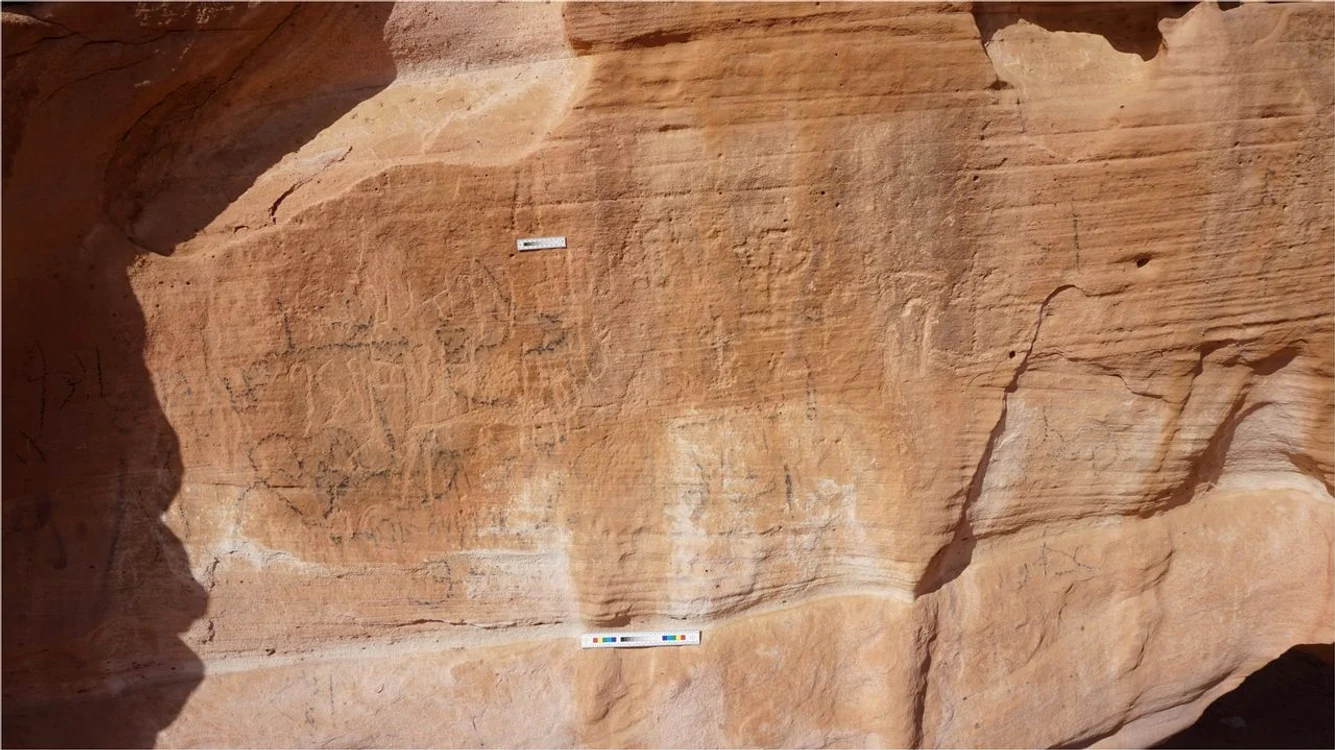 Artă rupestră descoperită în Deșertul Sinai (© M. Nour El-Din)