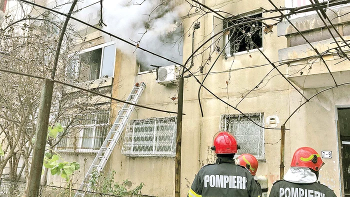 Nu e prima dată când pompierii salvează animale cu aceeași dedicație cu care salvează oameni