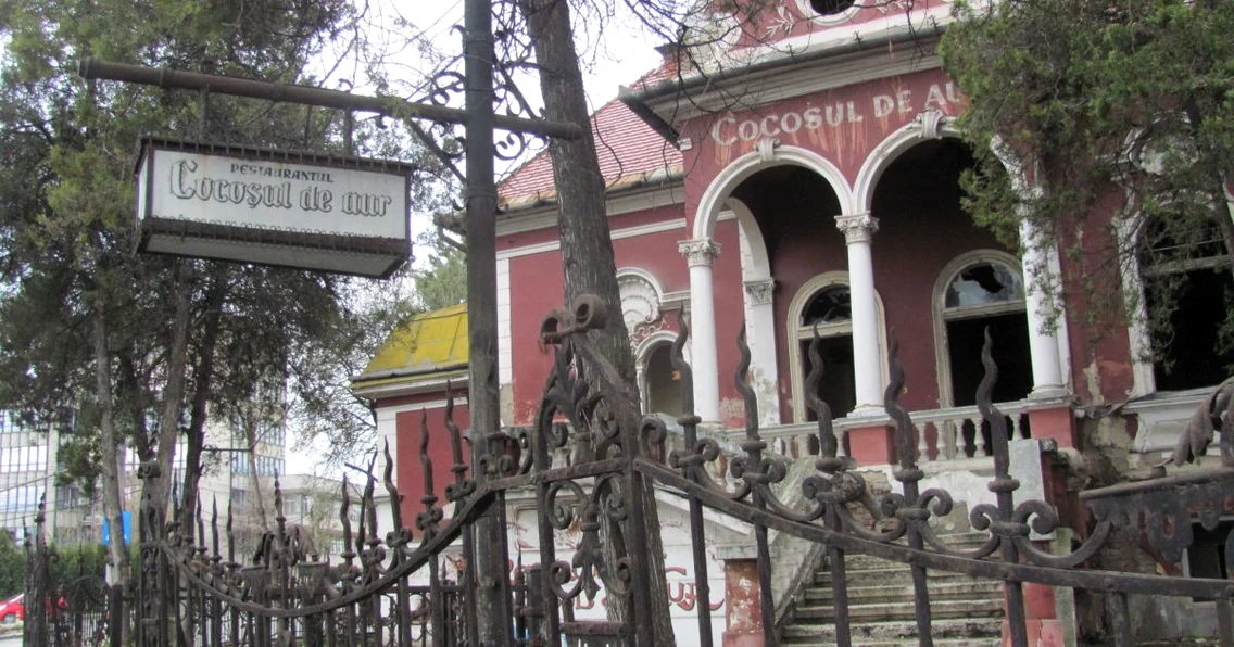 cocosul de aur