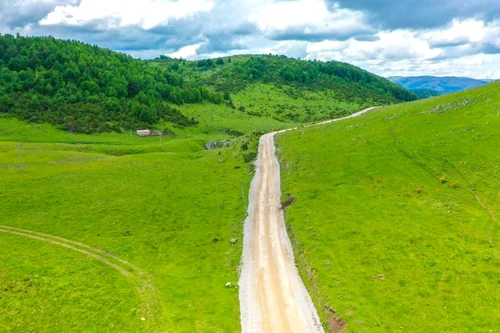 transalpina apuseni alba