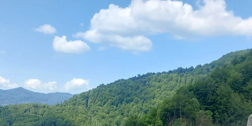 lucrari cetatea poenari 01 foto cj arges jpg