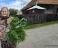 satul batrana din Hunedoara Foto Daniel Guță (61) jpg