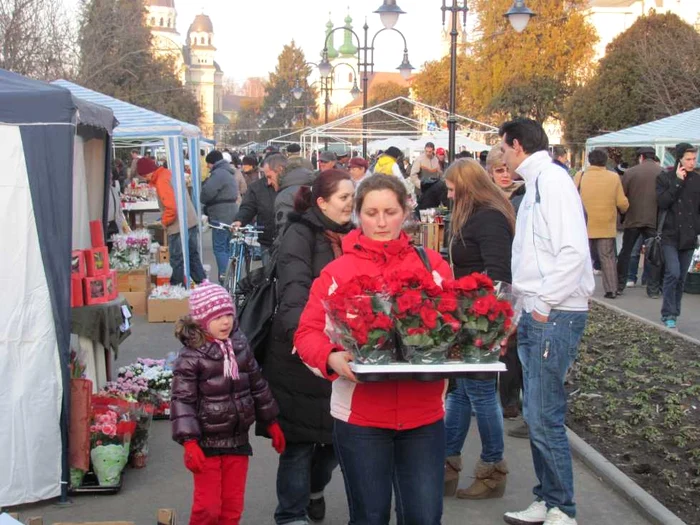 Vizitatorii vor putea admira şi cumpăra flori. Foto Arhivă