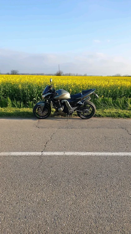 I-a făcut fotografie motocicletei în lanul de rapițăFOTO Fcebook/ Suflete Pe Două Roți