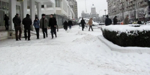 Pavajul din Bacău va fi ca pe Champ Elysees 