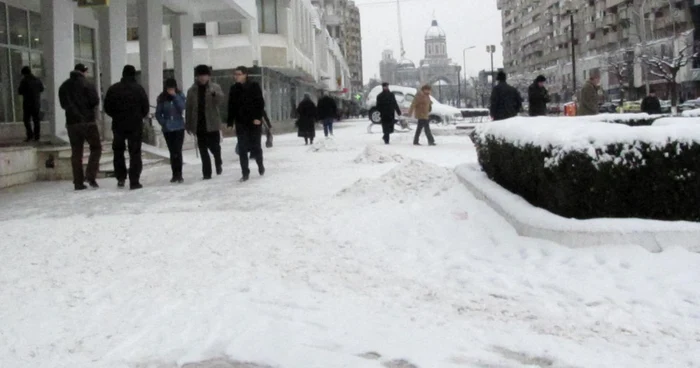 Pavajul din Bacău va fi ca pe Champ Elysees 