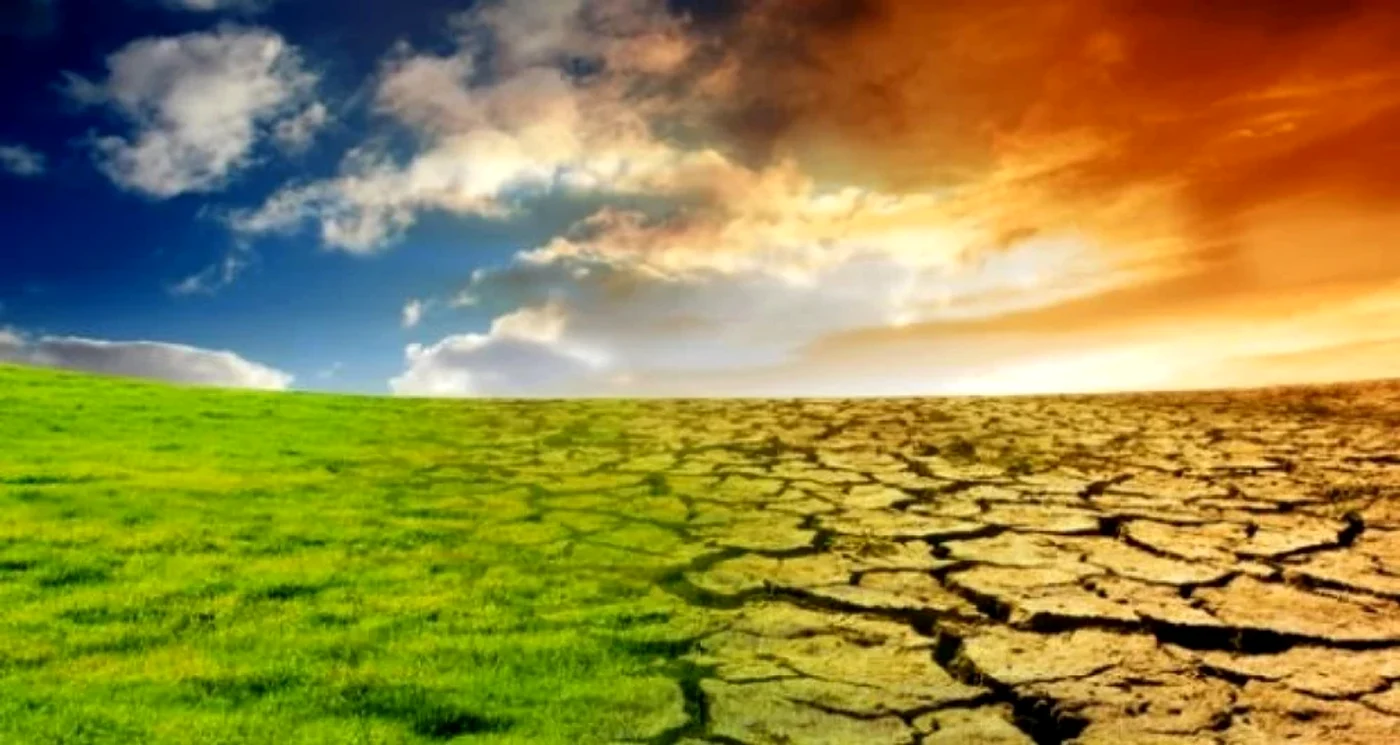 Foto: green-report.ro