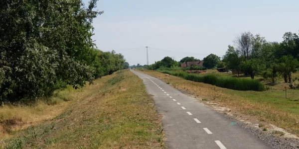 Cum arată pista de biciclete Timişoara-Zrenjanin pe partea sârbească FOTO Bartha Csaba