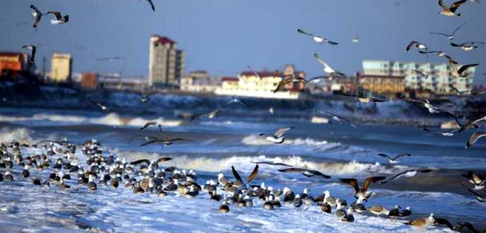 Primăvara la mare