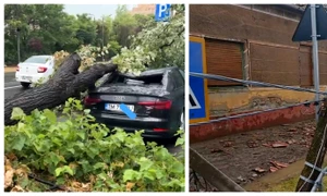 Furtună în Timiș FOTO Facebook / Meteoplus 