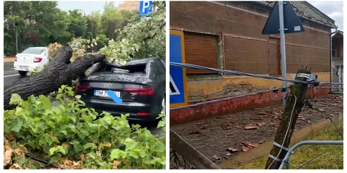 Furtună în Timiș FOTO Facebook / Meteoplus