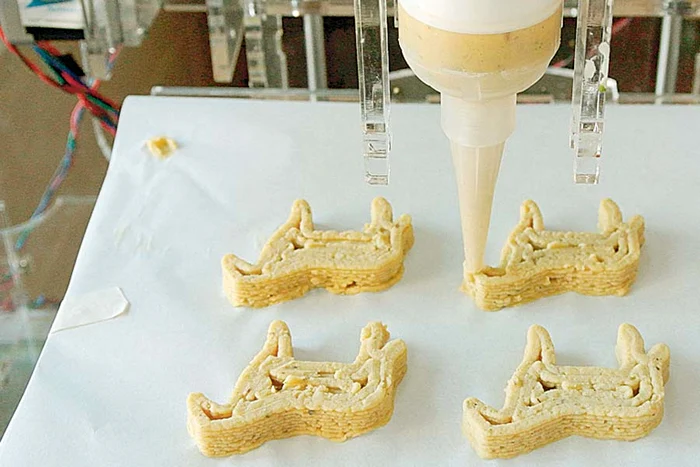 Imprimanta creează un fel de cărămizi, ce vor fi suprapuse una peste alta