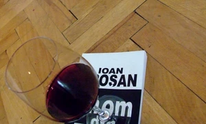 Literatură & vin jpeg