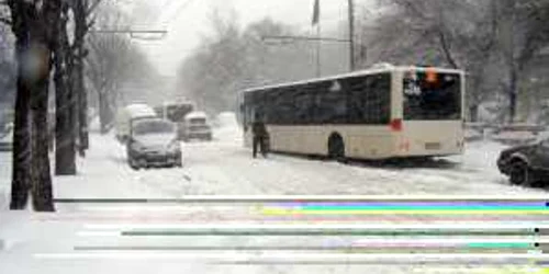 Iarna se lasă așteptată