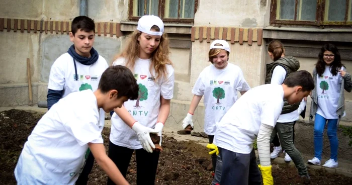 Elevii au plantat flori şi arbuşti în incinta Colegiului Naţional Tudor Vladimirescu