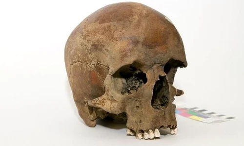 Descoperirea care dă bătăi de cap istoricilor: un craniu misterios ar putea rescrie istoria Australiei! jpeg