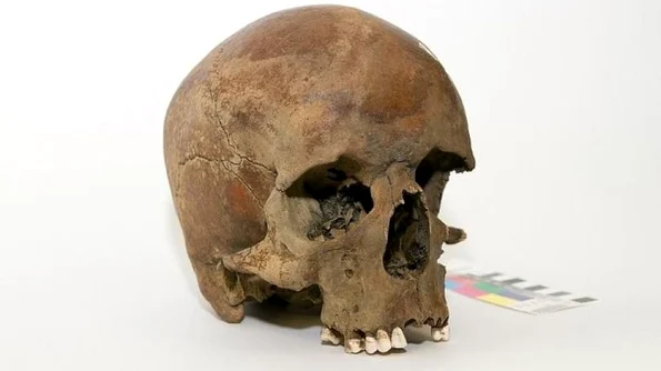 Descoperirea care dă bătăi de cap istoricilor: un craniu misterios ar putea rescrie istoria Australiei! jpeg