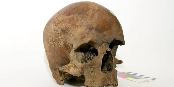 Descoperirea care dă bătăi de cap istoricilor: un craniu misterios ar putea rescrie istoria Australiei! jpeg