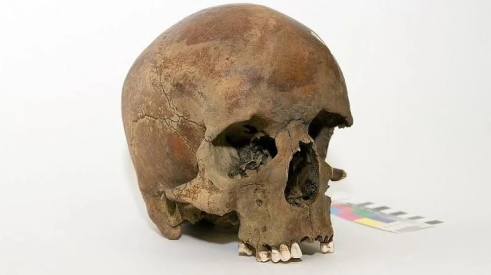 Descoperirea unui craniu vechi de un milion de ani rescrie evoluția umană. Studiul făcut de cercetători