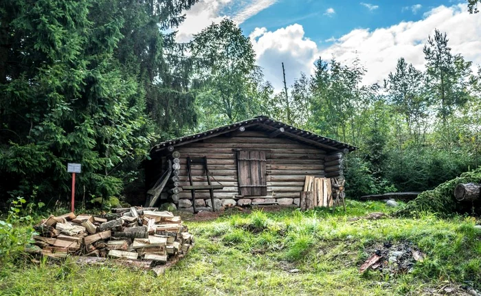 Bărbatul maltratat a fost descoperit la periferia orașului StockholmPixabay