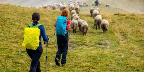 Drumeţie montană FOTO Asociaţia Albatros