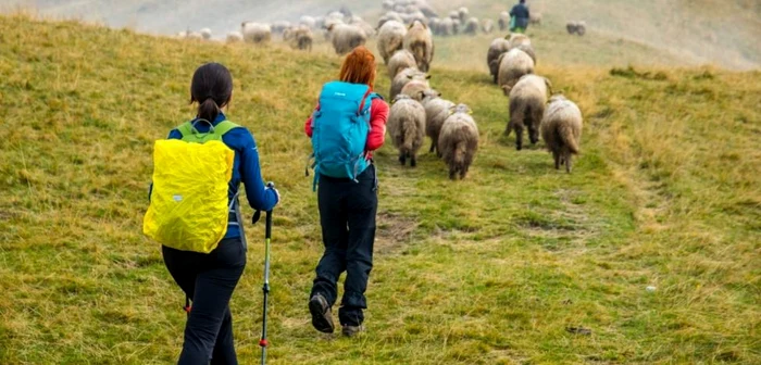 Drumeţie montană FOTO Asociaţia Albatros