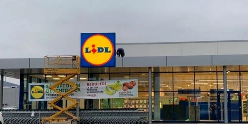 lidl magazin alba