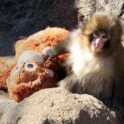 Screenshot 2026 02 23 115945 jpg