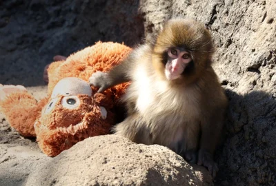 Screenshot 2026 02 23 115945 jpg