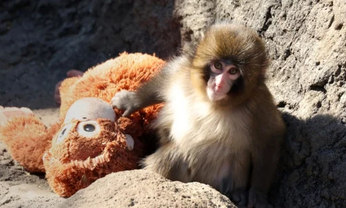 Screenshot 2026 02 23 115945 jpg