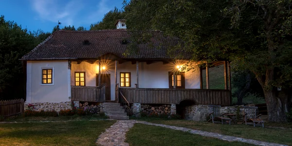 casa regelui charles din zalan jpg