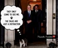 motanul Larry la 10 Downing Street, reședința oficială a premierului Marii Britanii. FOTO: Instagram