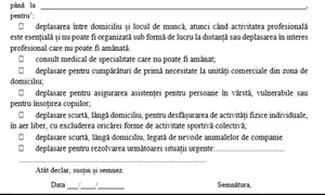 declaratie pe propria raspundere jpeg