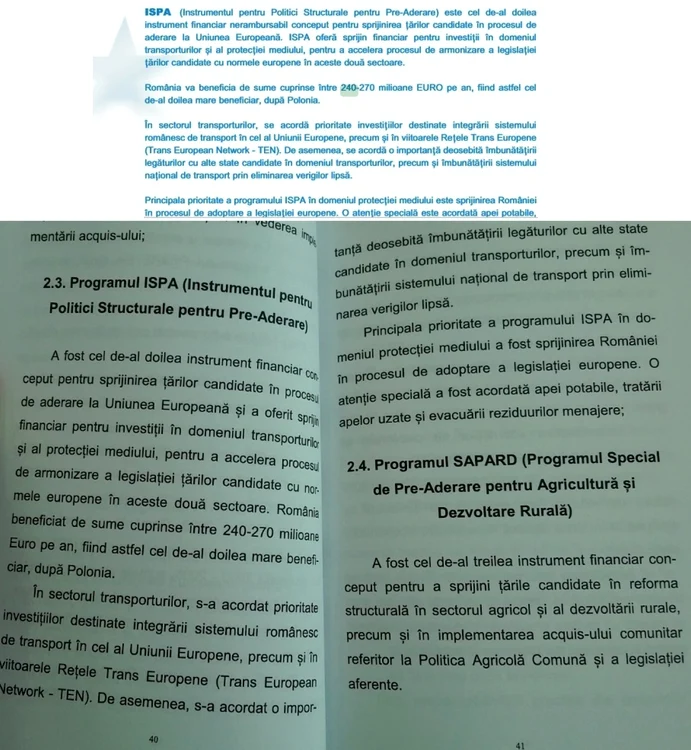 netoiu plagiat 2