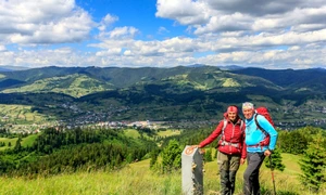 66b6d693 bf04 498e ba7b f079a086174d 1200x759 jpg