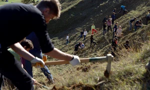 Cum se plantează o pădure jpeg
