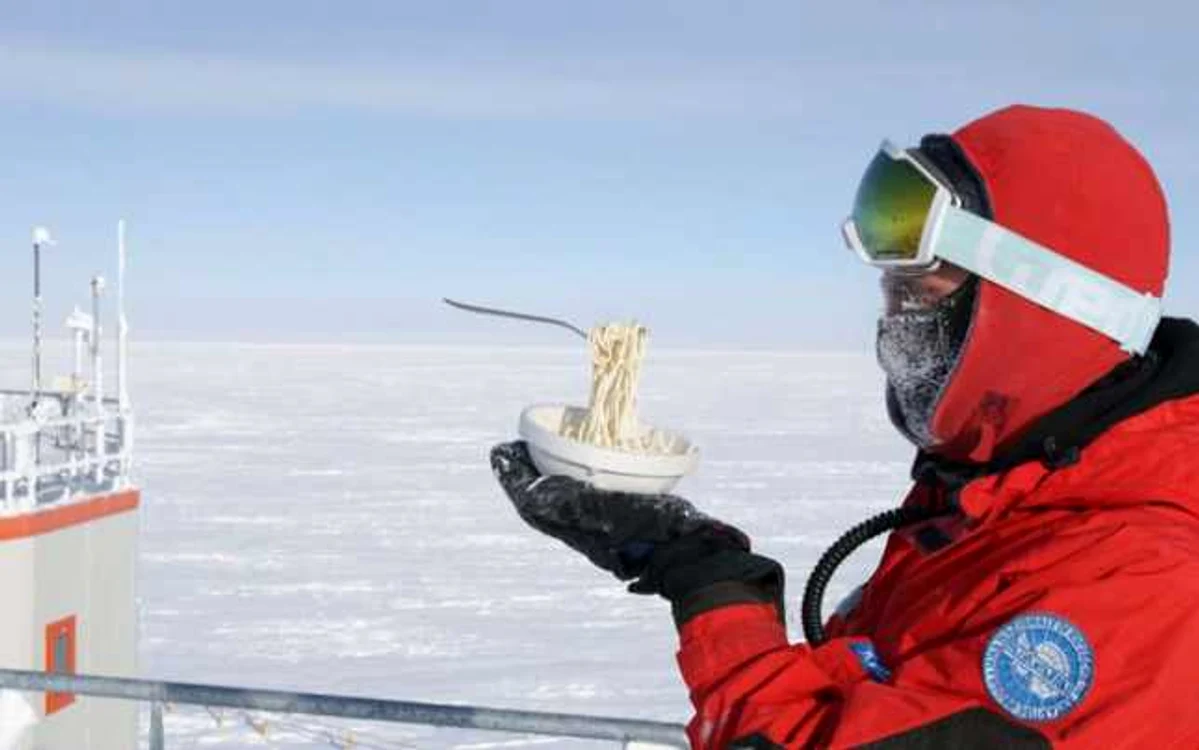 Spaghetele au încheţat pe furculiţă FOTO: Bored Panda